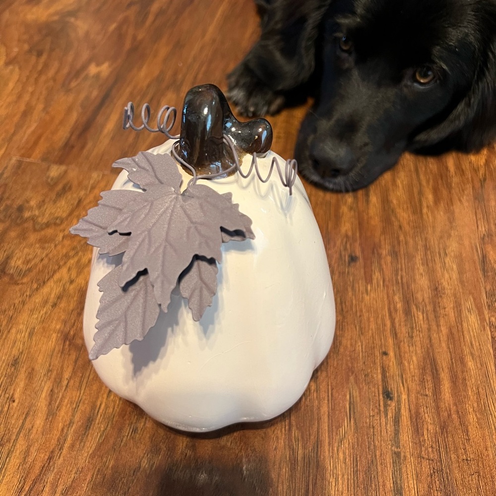 Pumpkin table decor